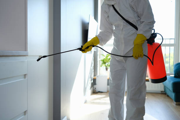 Best Toxic Mold Removal  in Samson, AL