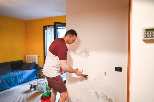 Best Crawl Space Mold Removal  in Samson, AL